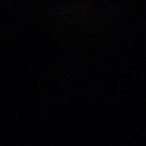 Meet your Posher, Elisabeth